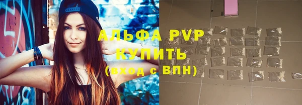 хмурый Белокуриха