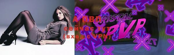 хмурый Белокуриха