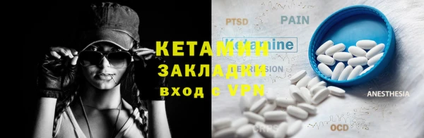 хмурый Белокуриха