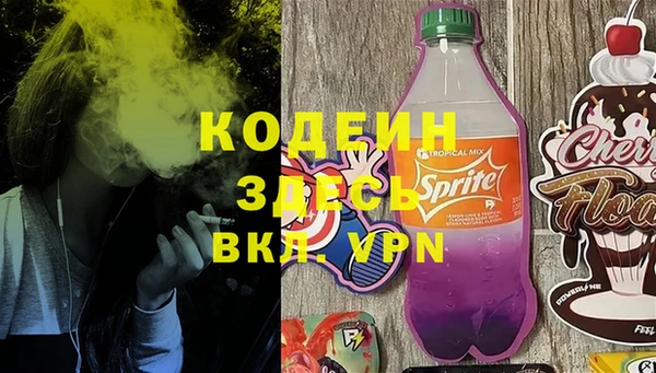 хмурый Белокуриха