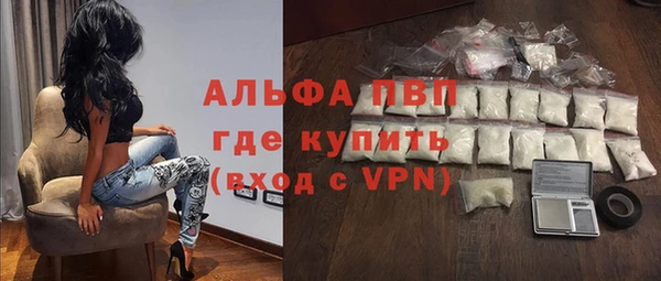 хмурый Белокуриха