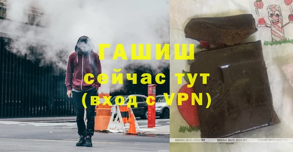 хмурый Белокуриха