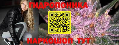 PSILOCYBIN Бугуруслан