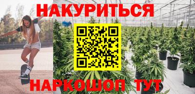 трава Бийск