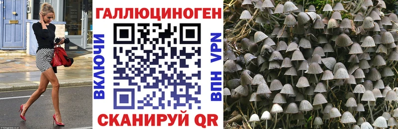 Псилоцибиновые грибы Magic Shrooms  Видное 