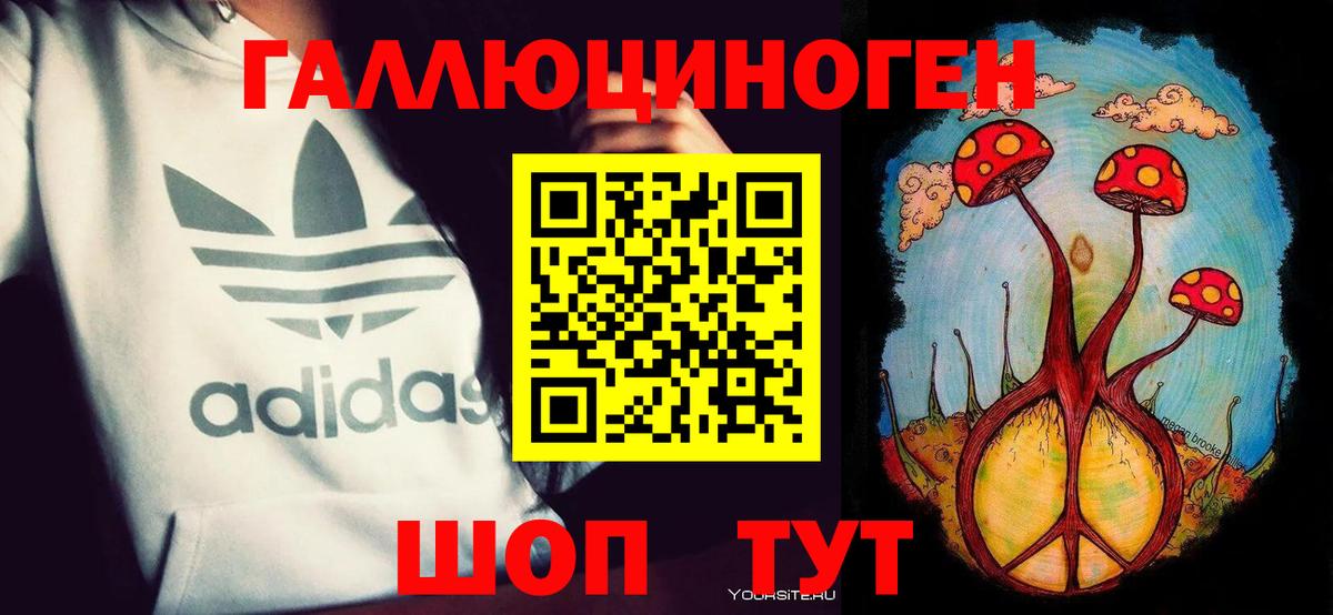 Видное  Псилоцибиновые грибы MAGIC MUSHROOMS  Вход с VPN 