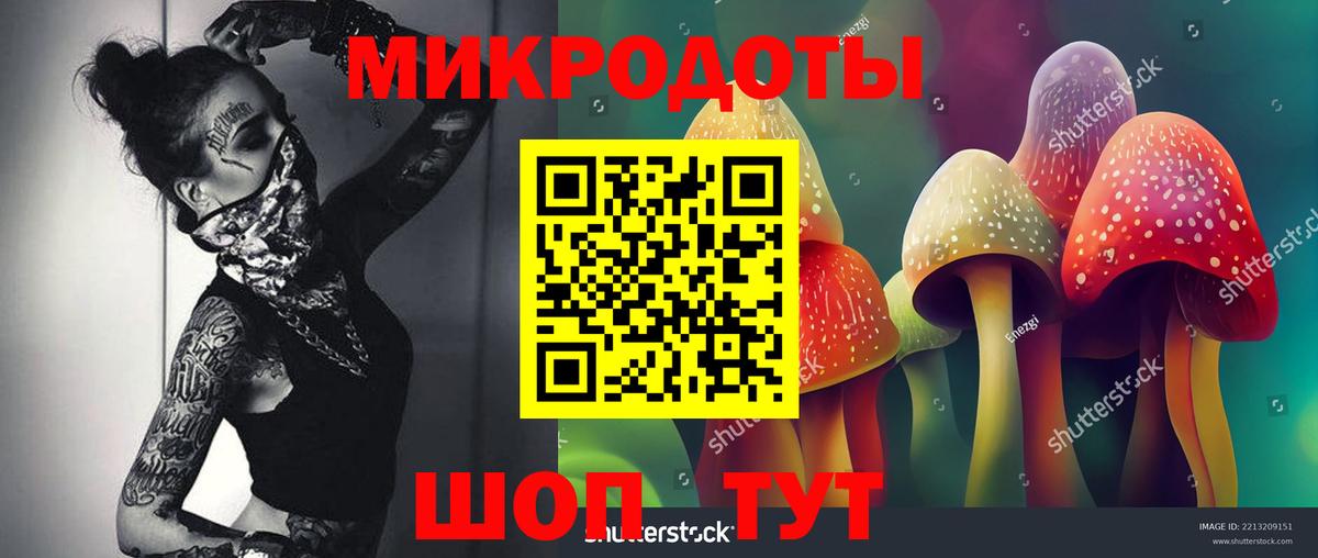 Псилоцибиновые грибы ЛСД Видное